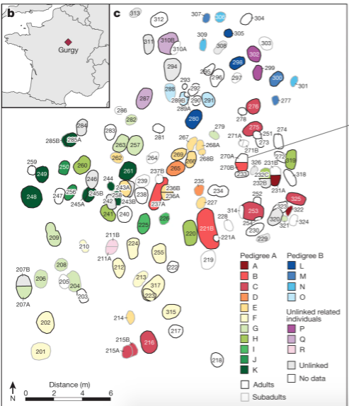 6700年前,法國的父系大家族 6700年前,法國的父系大家族