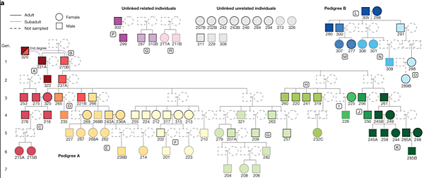 6700年前,法國的父系大家族 6700年前,法國的父系大家族