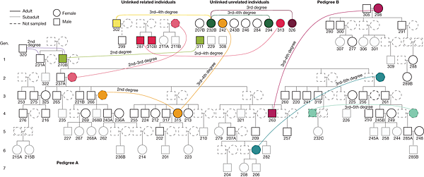 6700年前,法國的父系大家族 6700年前,法國的父系大家族