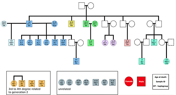 3800年前,烏拉山南部的遊牧家族 3800年前,烏拉山南部的遊牧家族