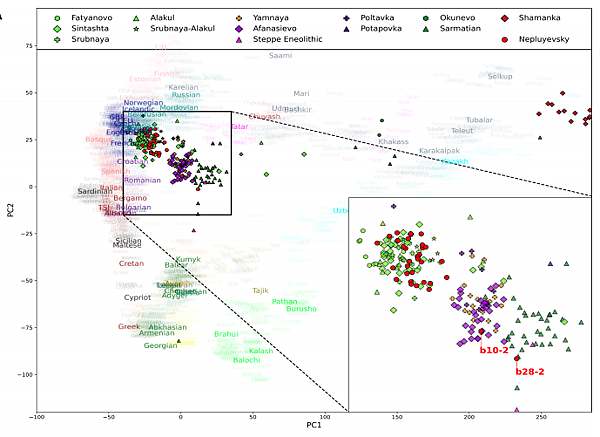 3800年前,烏拉山南部的遊牧家族 3800年前,烏拉山南部的遊牧家族