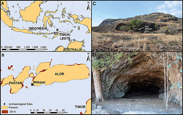 短篇 印尼海域阿洛島,一萬多年前鸚鵡螺貝殼珠珠 短篇 印尼海域阿洛島,一萬多年前鸚鵡螺貝殼珠珠