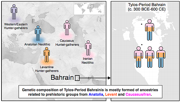阿拉伯東方海島,波斯灣「巴林」的古代DNA 阿拉伯東方海島,波斯灣「巴林」的古代DNA