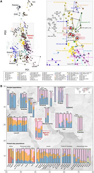 阿拉伯東方海島,波斯灣「巴林」的古代DNA 阿拉伯東方海島,波斯灣「巴林」的古代DNA