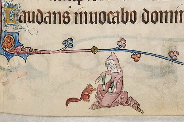 中世紀英格蘭，松鼠也得麻風病