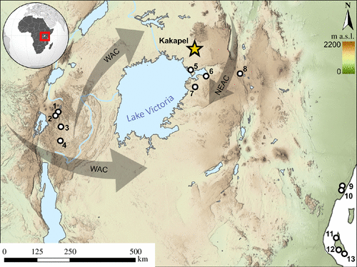 短篇 豇豆,穇子,高粱,豌豆,維多利亞湖畔農業考古 短篇 豇豆,穇子,高粱,豌豆,維多利亞湖畔農業考古