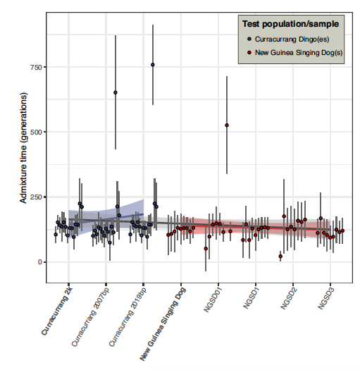 澳洲野犬遺傳分成兩群,又和新幾內亞唱犬有關係? 澳洲野犬遺傳分成兩群,又和新幾內亞唱犬有關係?