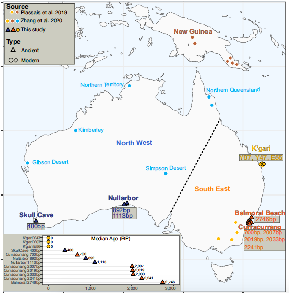 澳洲野犬遺傳分成兩群,又和新幾內亞唱犬有關係? 澳洲野犬遺傳分成兩群,又和新幾內亞唱犬有關係?