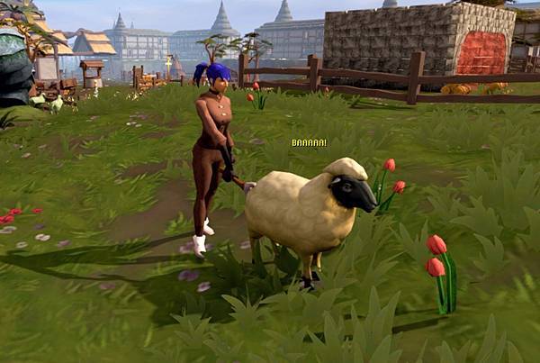 土耳其8000年前布氏桿菌，人羊一家親