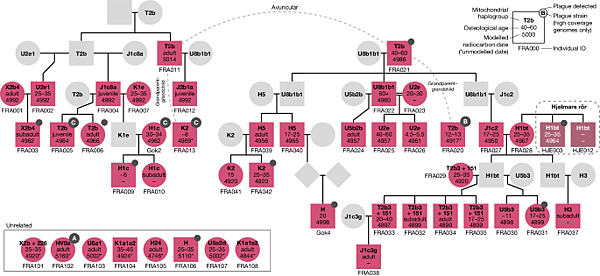 每代都有人感染鼠疫桿菌，斯堪地那維亞南部5000年前滅村？