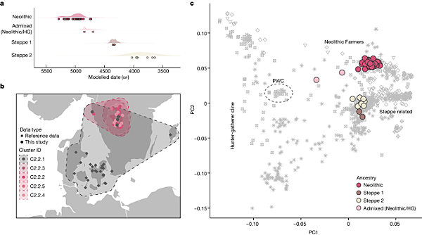 每代都有人感染鼠疫桿菌，斯堪地那維亞南部5000年前滅村？