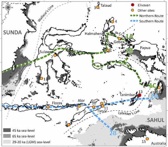 四萬年前在東南亞海島生活,獵捕袋鼠?! 四萬年前在東南亞海島生活,獵捕袋鼠?!
