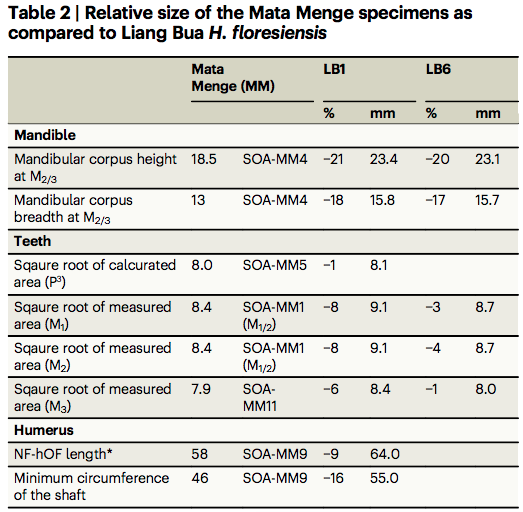 70萬年前佛洛勒斯人,源自爪哇直立人? 70萬年前佛洛勒斯人,源自爪哇直立人?
