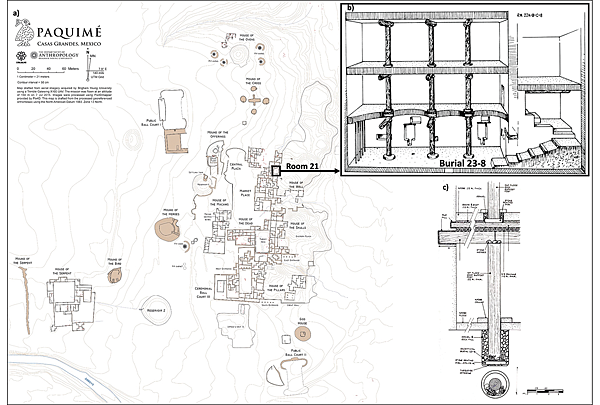 近親繁殖出身尊貴,墨西哥14世紀Paquimé高價值人祭? 近親繁殖出身尊貴,墨西哥14世紀Paquimé高價值人祭?