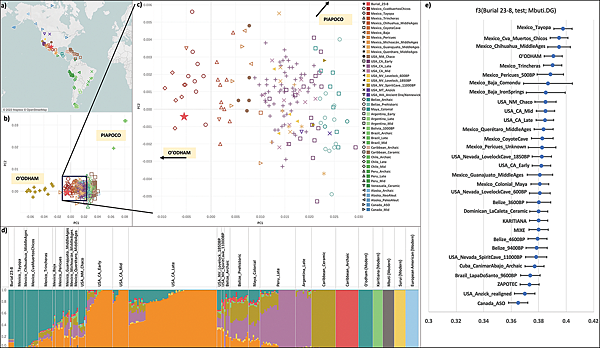 近親繁殖出身尊貴,墨西哥14世紀Paquimé高價值人祭? 近親繁殖出身尊貴,墨西哥14世紀Paquimé高價值人祭?