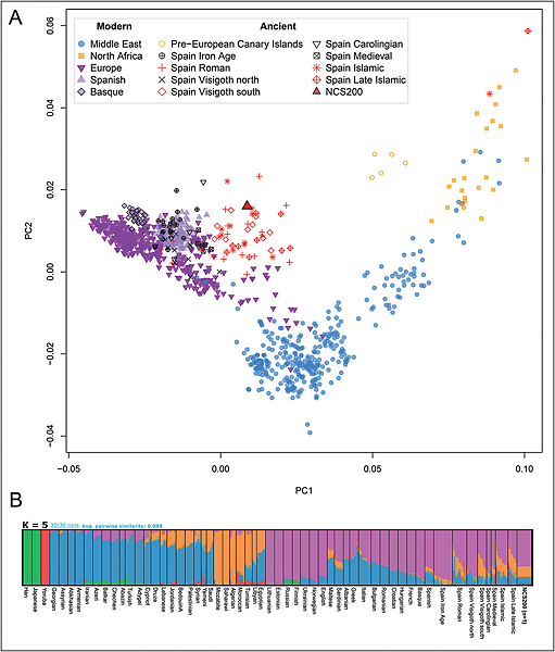 西班牙聖地亞哥德孔波斯特拉,古墓中可能是主教本人 西班牙聖地亞哥德孔波斯特拉,古墓中可能是主教本人