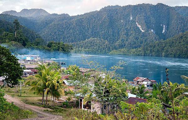 短篇 新幾內亞海島生活,超過5萬年的樹脂 短篇 新幾內亞海島生活,超過5萬年的樹脂