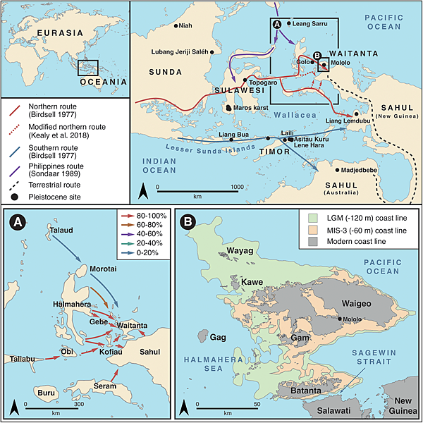短篇 新幾內亞海島生活,超過5萬年的樹脂 短篇 新幾內亞海島生活,超過5萬年的樹脂