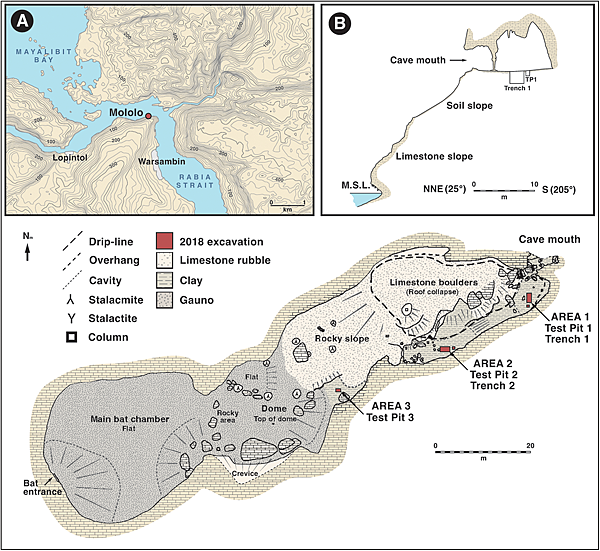 短篇 新幾內亞海島生活,超過5萬年的樹脂 短篇 新幾內亞海島生活,超過5萬年的樹脂