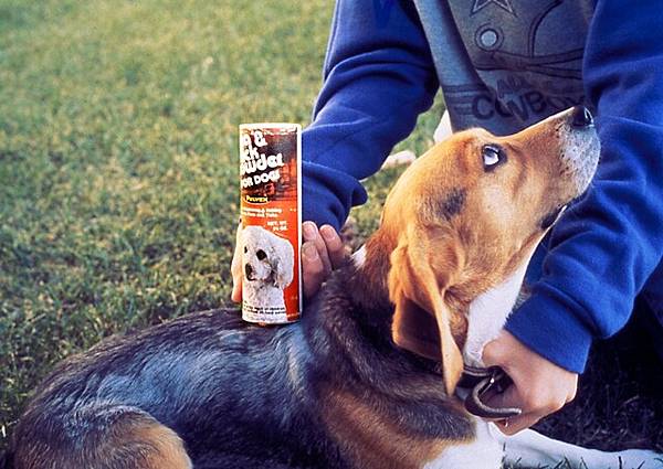 感染鼠疫桿菌，歐洲5000年前人與狗