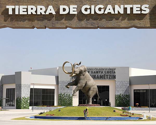 墨西哥也有猛獁象！哥倫布猛獁象的複雜情慾交流