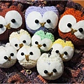 OWLs