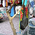 P1070048.JPG