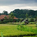 P1070065.JPG