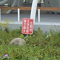 籽公園水深勿近