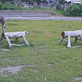 籽公園木馬2