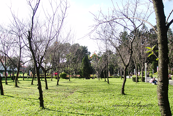 DSC06845 DSC06845