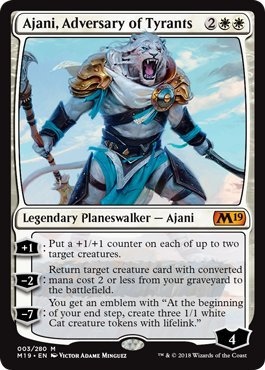 Ajani.jpg