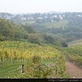 Kahlenberg(卡倫山).jpg