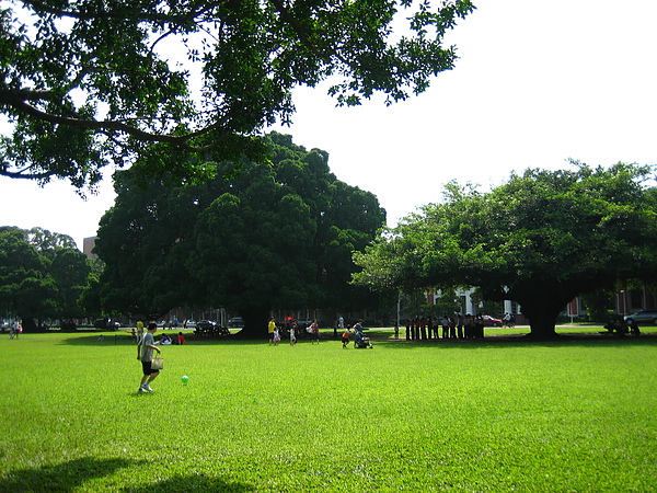 IMG_9697.JPG IMG_9697.JPG