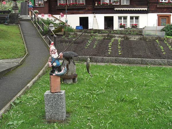 CIMG0347.JPG CIMG0347.JPG