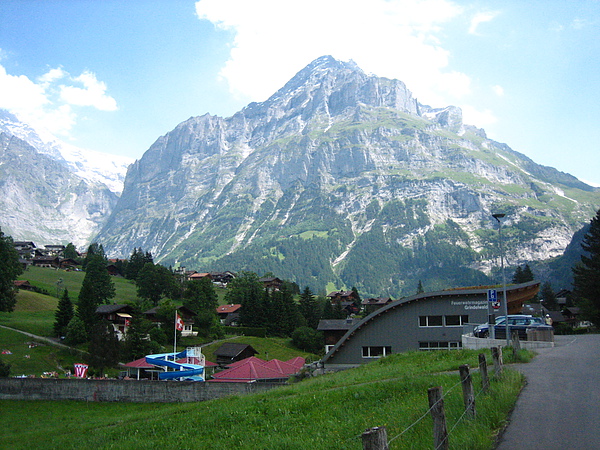 IMG_9517.JPG IMG_9517.JPG