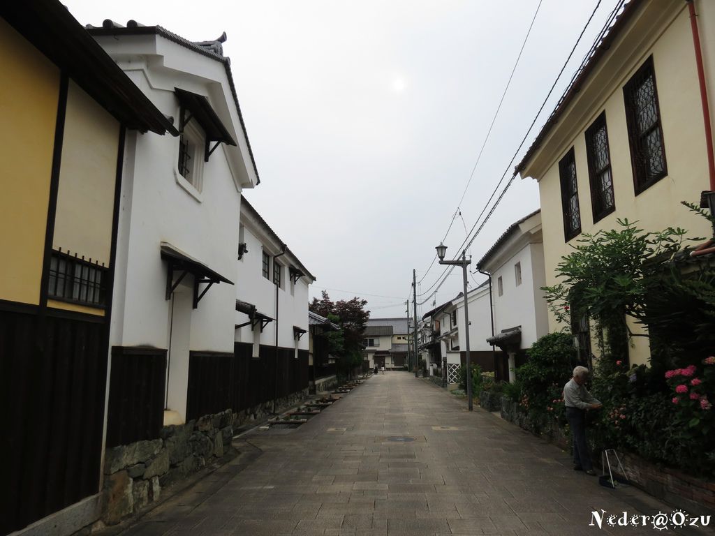 IMG_6726.jpg IMG_6726.jpg