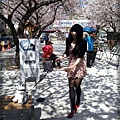 20130403_131815(0)