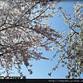 20130403_132953