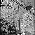 20130403_133230