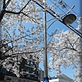 20130403_133241