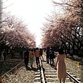20130403_153356