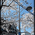 20130403_133241.jpg