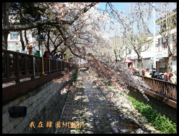 20130403_134036.jpg