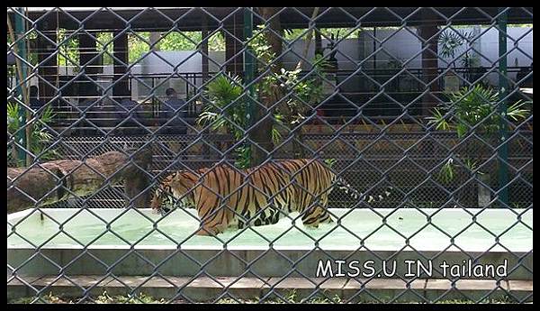 20150603_113048.jpg 20150603_113048.jpg