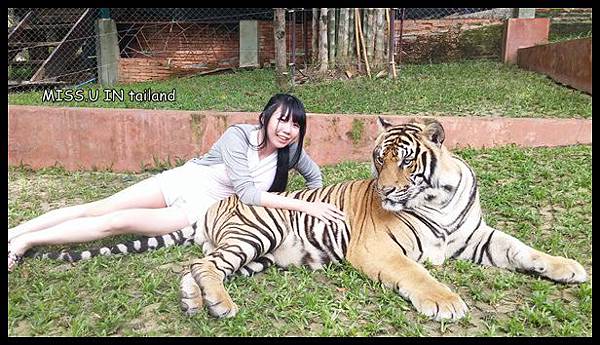 20150603_113545.jpg 20150603_113545.jpg