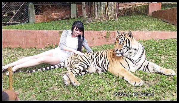 20150603_113554.jpg 20150603_113554.jpg