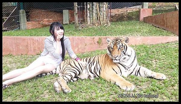 20150603_113602.jpg 20150603_113602.jpg