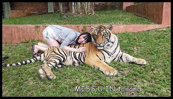 20150603_113613.jpg 20150603_113613.jpg