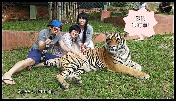 20150603_113914.jpg 20150603_113914.jpg